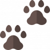 pawprints